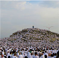  Arafat